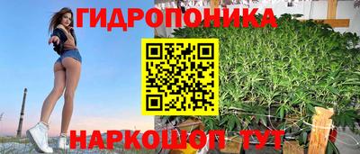 ECSTASY Будённовск