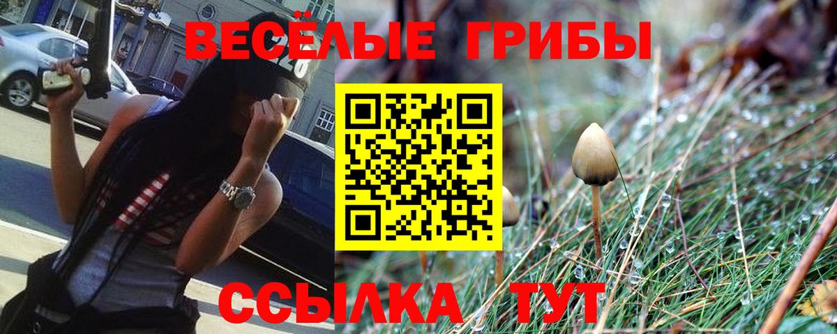 Псилоцибиновые грибы ЛСД  Вход с VPN  Псилоцибиновые грибы Psilocybine cubensis  Кызыл 