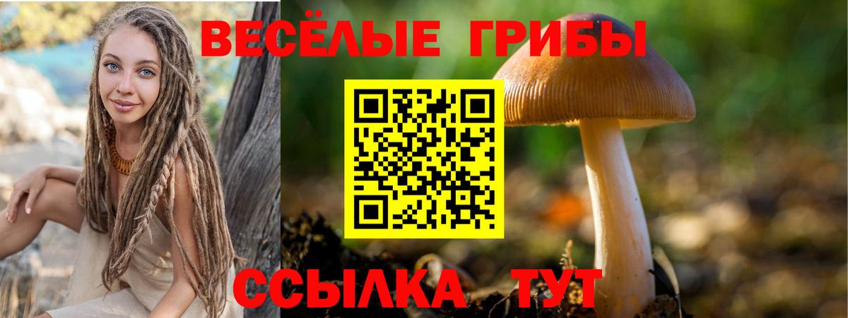 Псилоцибиновые грибы MAGIC MUSHROOMS Кызыл